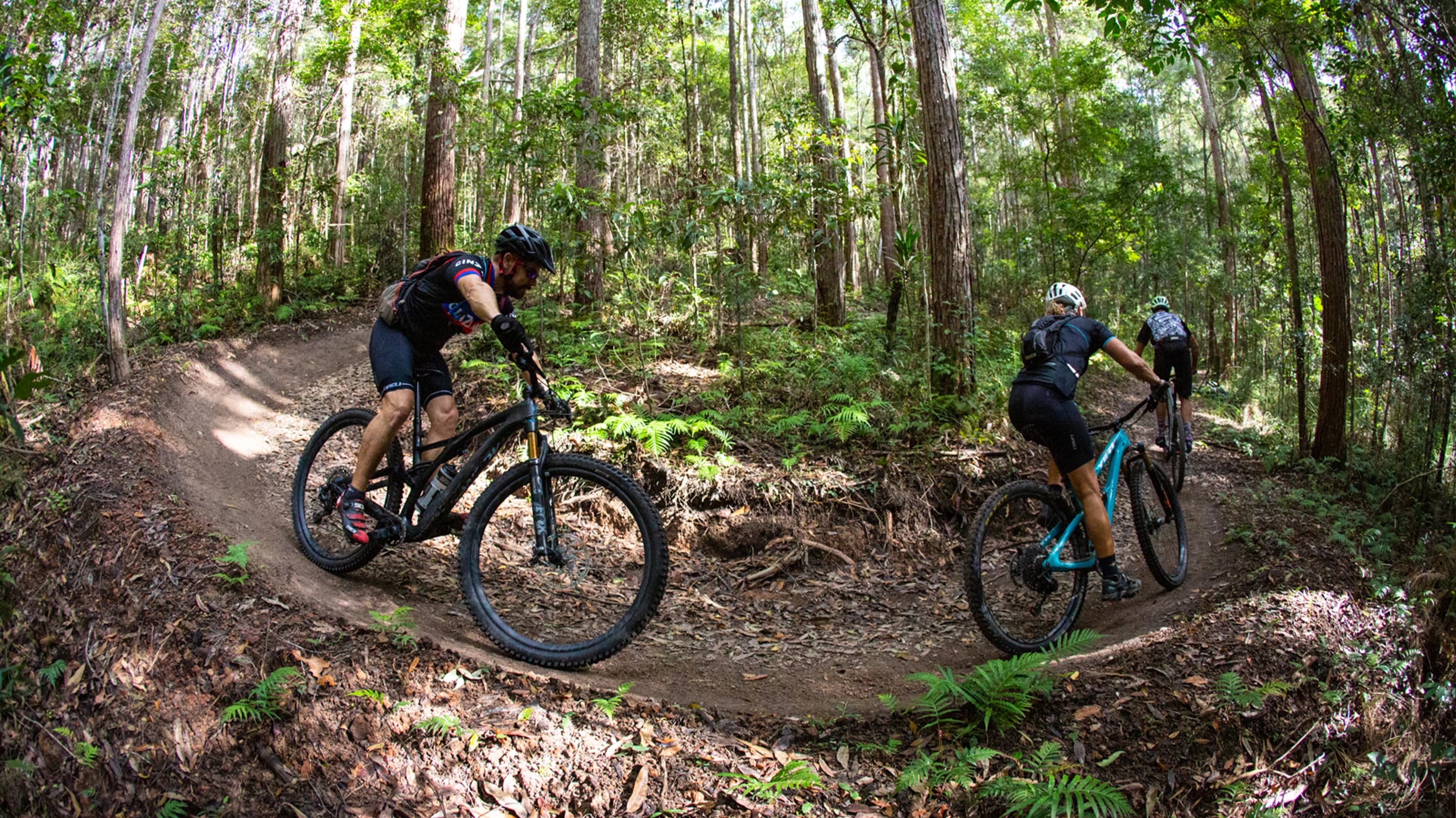 Mountain bikers riding on path
