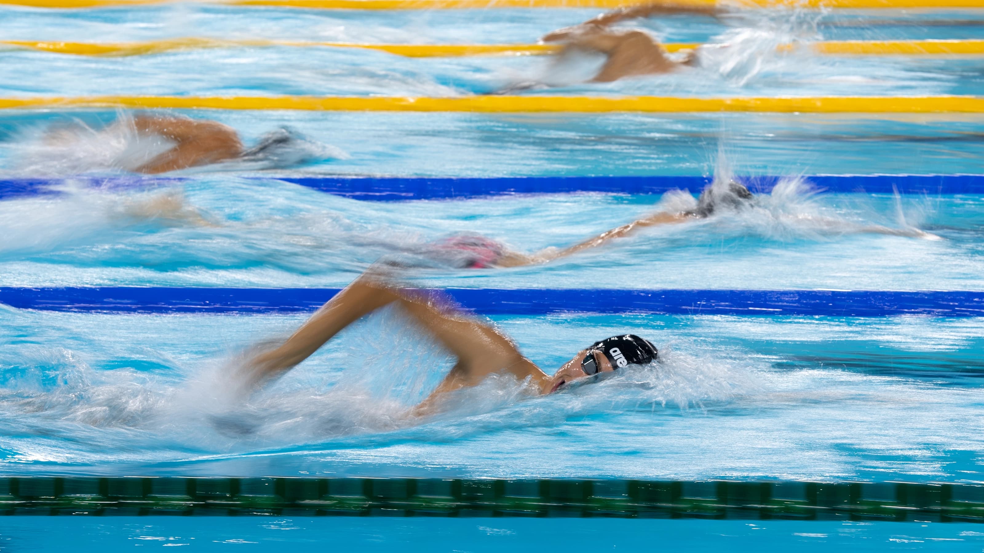 Swimmers in freestyle race