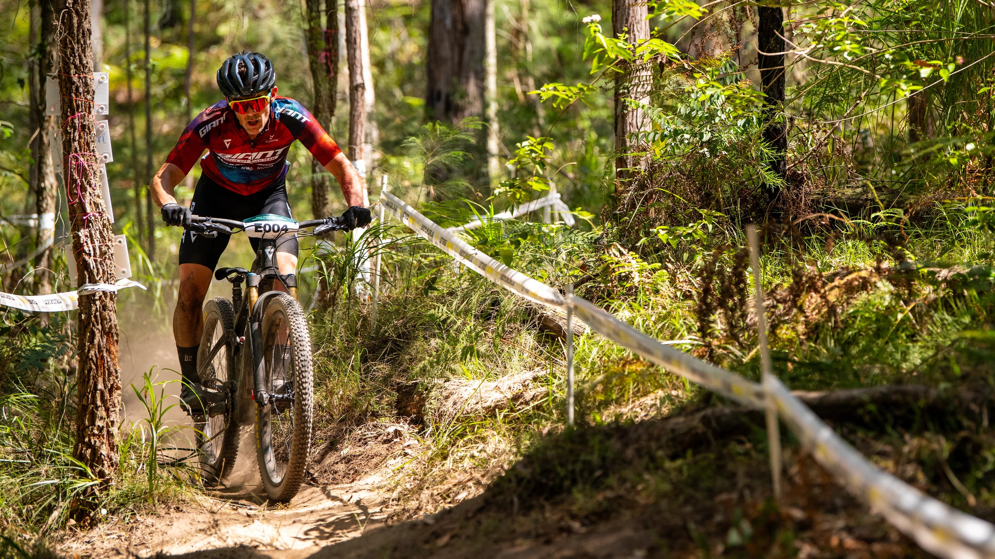 Mountain bikers riding on path