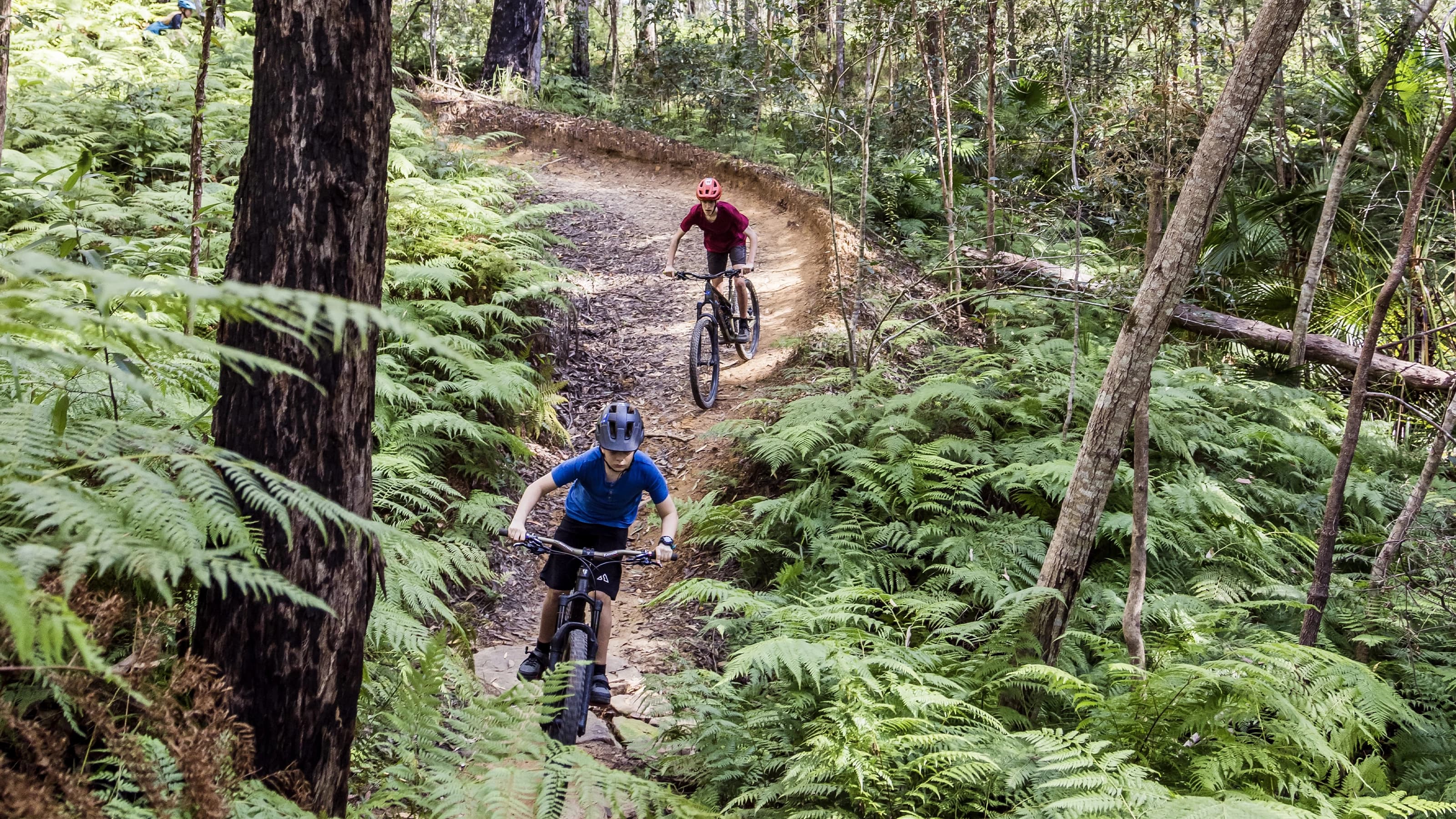 Mountain bikers riding on path