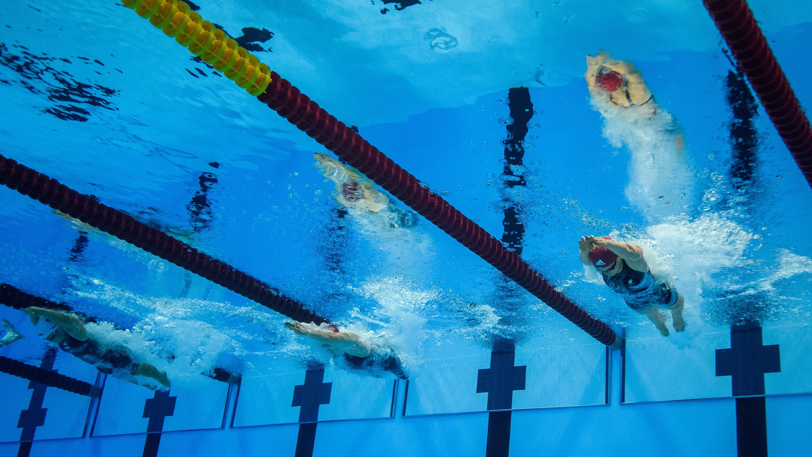 Under water shot of swimmers pushing off wall in a race